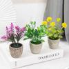 Искусственные пластиковые водные растения Искусственная лаванда Искусственные зеленые растения Маленькие растения в горшках Украшения для дома Реквизит для съемки Целлюлозные горшки