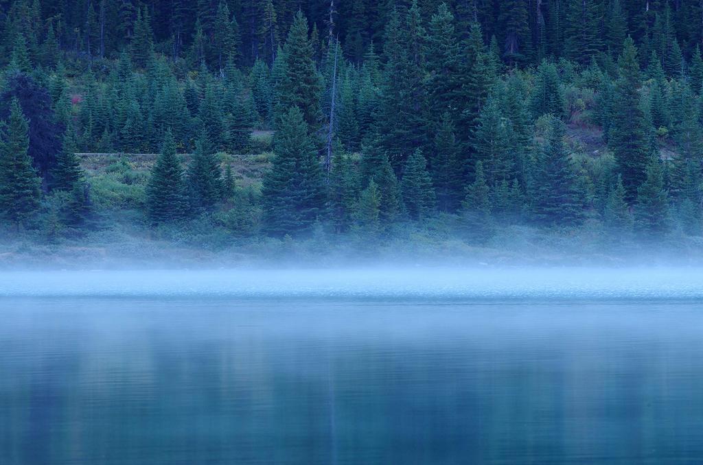 PENTAX smc SDM telephoto zoom lens 21750 black PENTAX-DA60-250mmF4ED[IF]