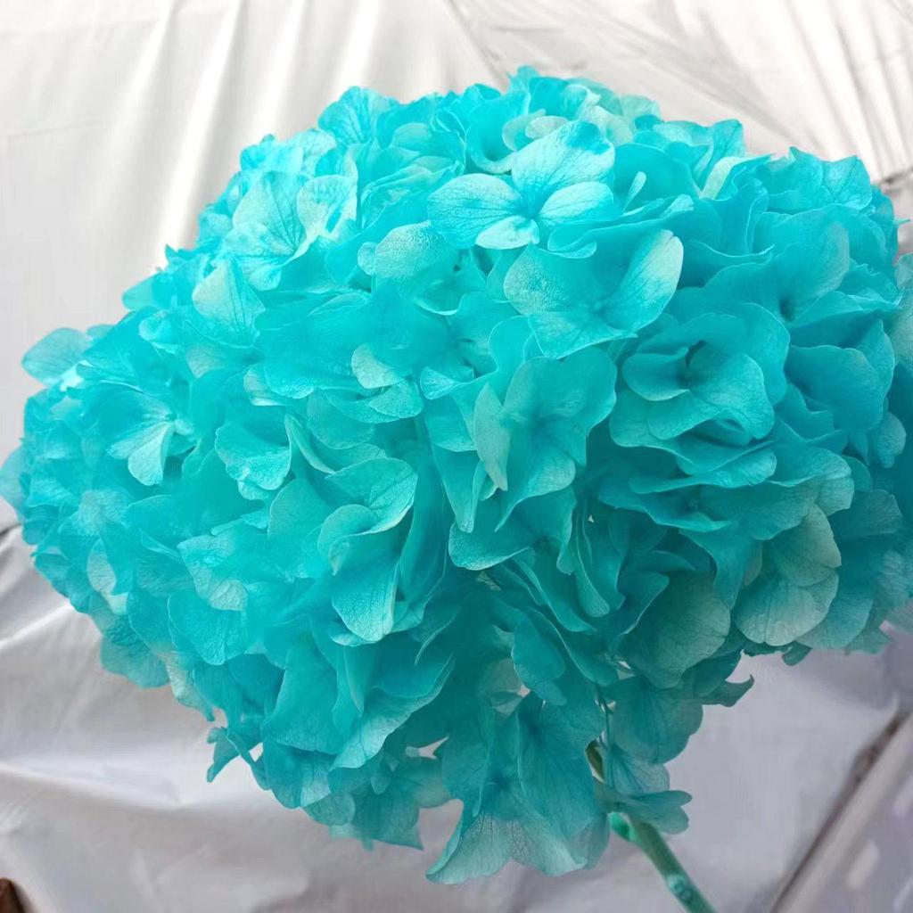 Multi-Color Preserved Bigleaf Hydrangea Single Stem Flower Bouquet for Home Decoration