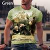 Cool Animal Bear Print 3d T Shirt New Fashion Funny Hip-hop Harajuku Short-sleeved T-shirt