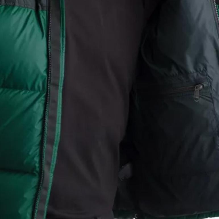 THE NORTH FACE 1996 Retro Nuptse 700 Fill Packable Jacket NF0A3C8D-N3P