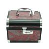 Lieve Aluminum Alloy Cosmetic & Jewelry Case
