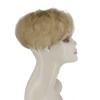 LISI HAIR Женские короткие вьющиеся волосы для наращивания волос из синтетического волокна, покрытие для седых волос и выпадения волос, натуральный черный, коричневый, светлый, для повседневного использования