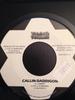 7inch Record DADDIGON / RAY DARWIN - Callin / Take You Home NONE THC Muzik Jamaica Reggae, Ska & Dub Used