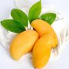 Premium Fresh Mangoes