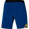 Mizuno Шорты Frontier 8´´ Amplify