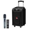 Портативная караоке-колонка Malata M+9045 с беспроводным микрофоном (Китайская версия)