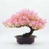 Creative Simulation Welcome Pine Potting Room Zen Green Plant Bonsai Decoration Fake Flower Decoration