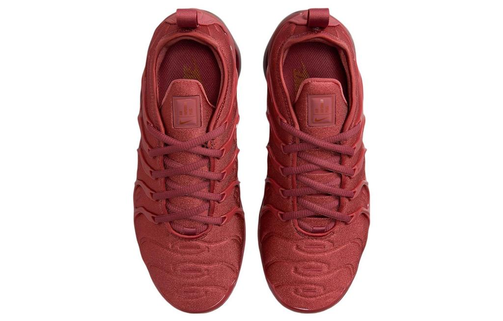 Nike Air VaporMax Plus 'Бордовый' FQ8878-661