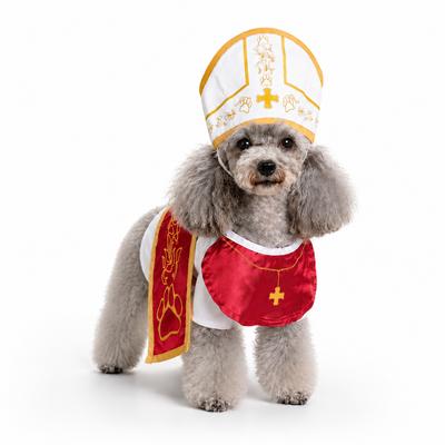 Lightweight Breathable Pet Cosplay Costume Set, For Small Medium Breed Dog Cat, Smooth Satin Fabric With Exquisite Printed Ornament, Pet Festival
