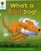 Книга Oxford Reading Tree: Level 2: Stories: What a Bad Dog!