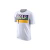 Nike Мужская футболка Dri-Fit NBA New Orleans Pelicans, белая BV8780-106