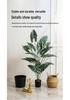 Premium Realistic Calla Lily and Greenery for Hotel, Event, and Wedding Décor