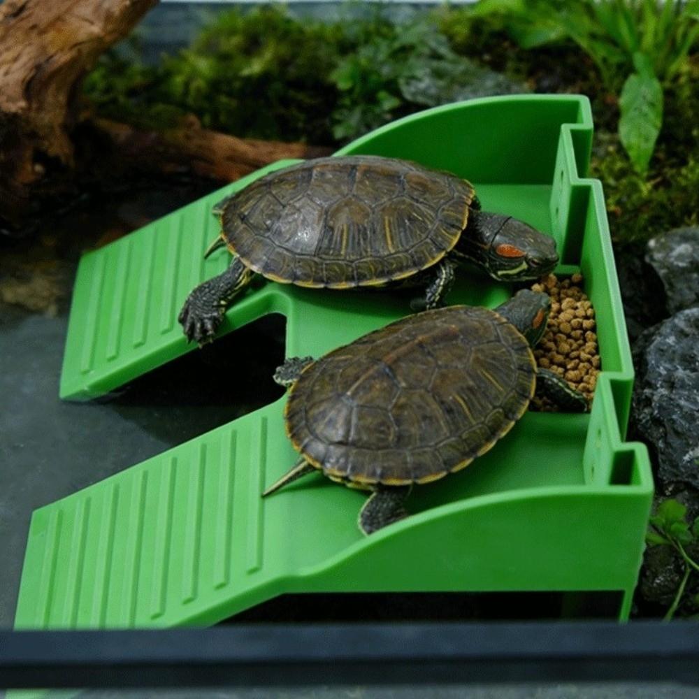 Double Ladder Turtle Basking Platform Plastic Feeding Platform  Aquatic Turtles