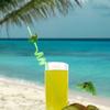 Drinking Decor Temporaty Straw Straws-Plastic Dinosaur Reusable Straws Dino Theme Cartoon Pattern