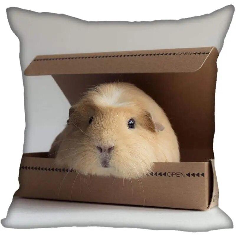 Наволочка для гостиной с морской свинкой в ​​современном доме