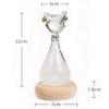 Anderson Cat Storm Glass Weather Forecast Bottle, Egyptian Cat Shape Desktop Decor, Birthday Gift Creative Present, Weather Prediction Ornament