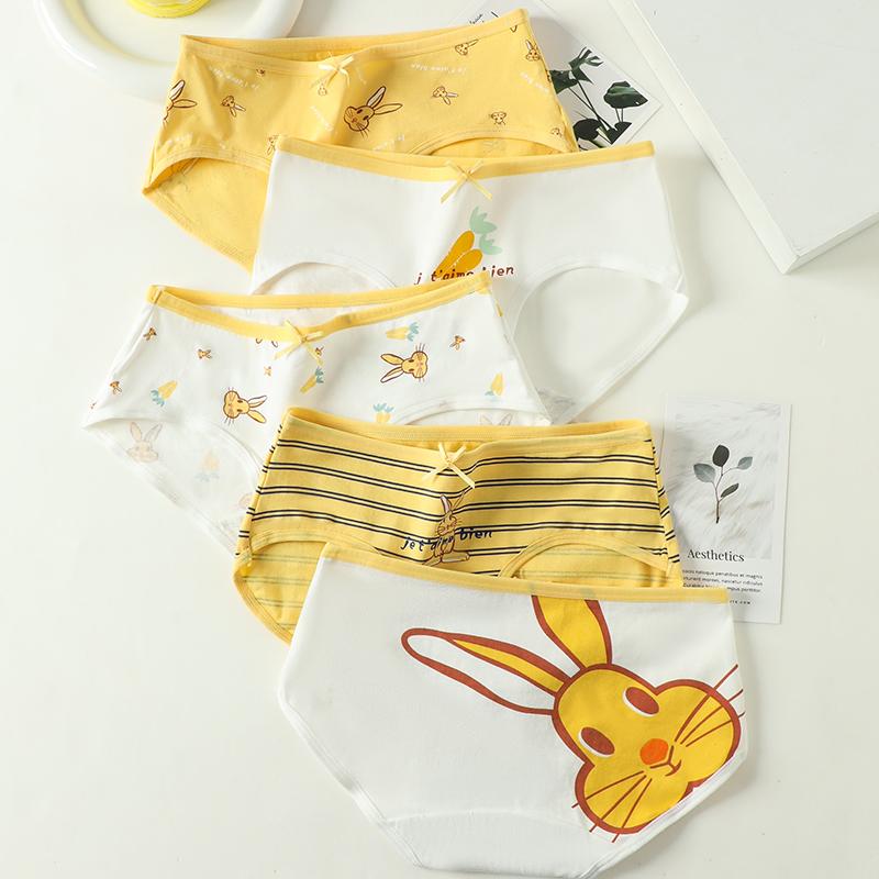 LANGSHA 5Pcs Cotton Panties Women Underwear Breathable Cute Print Briefs Female Fashion Lingerie XXL