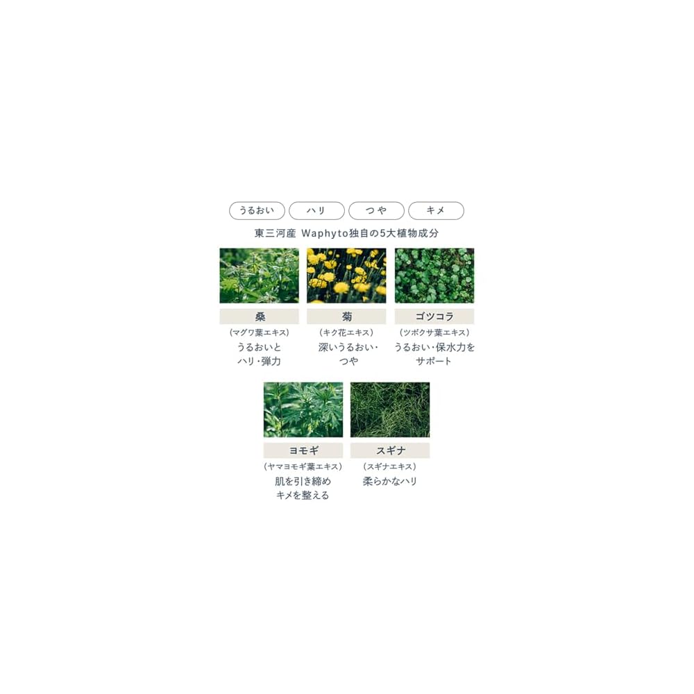 Waphyto Makeup Remover Nourishing Cleansing Oil 140mL (For dullness, clogged pores, blackheads,