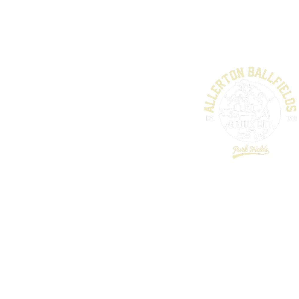 Park Fields Unisex Adult Bronx Hoodie