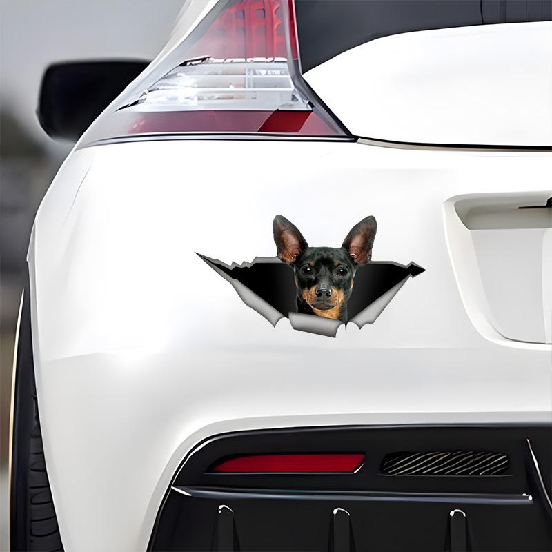 Cute Pinscher 3D Break the Wall Car Sticker, Waterproof Vinyl Material Accessories, Interesting Creativity For Cars, Trucks, Motorcycles, Walls
