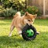 Elasticity Interactive Dog Toy Squeak Sound Dog Chew Wheel Toy Creative Molar Toys  Indoor Play