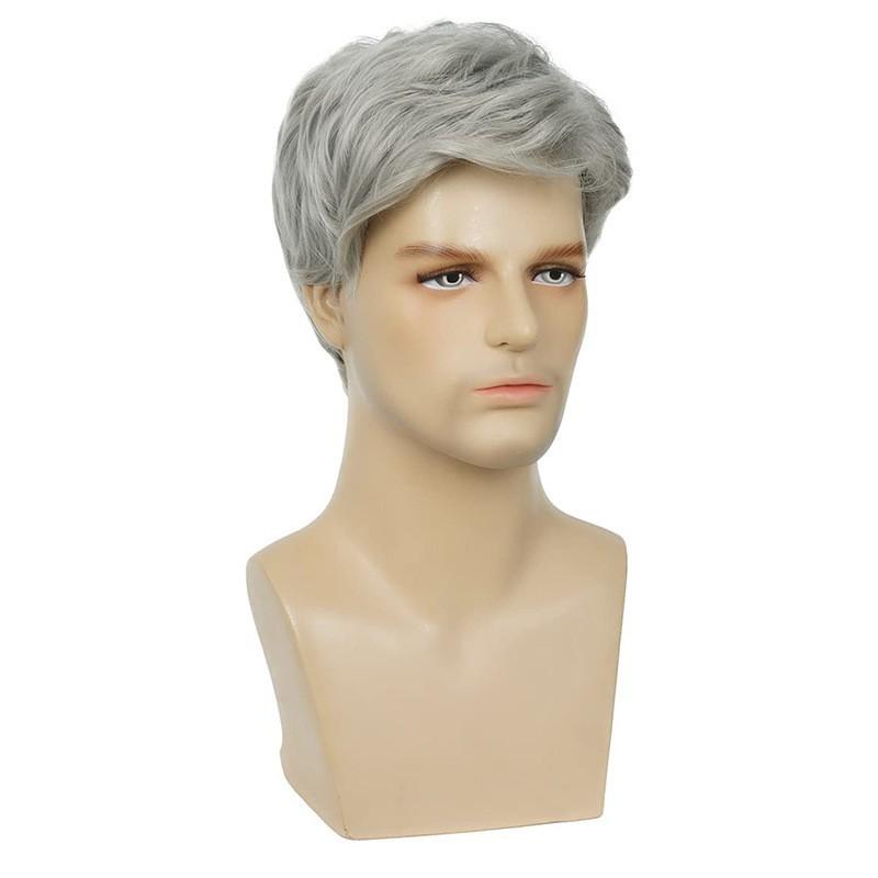 Men's Gray Handsome Fluffy Short Hair