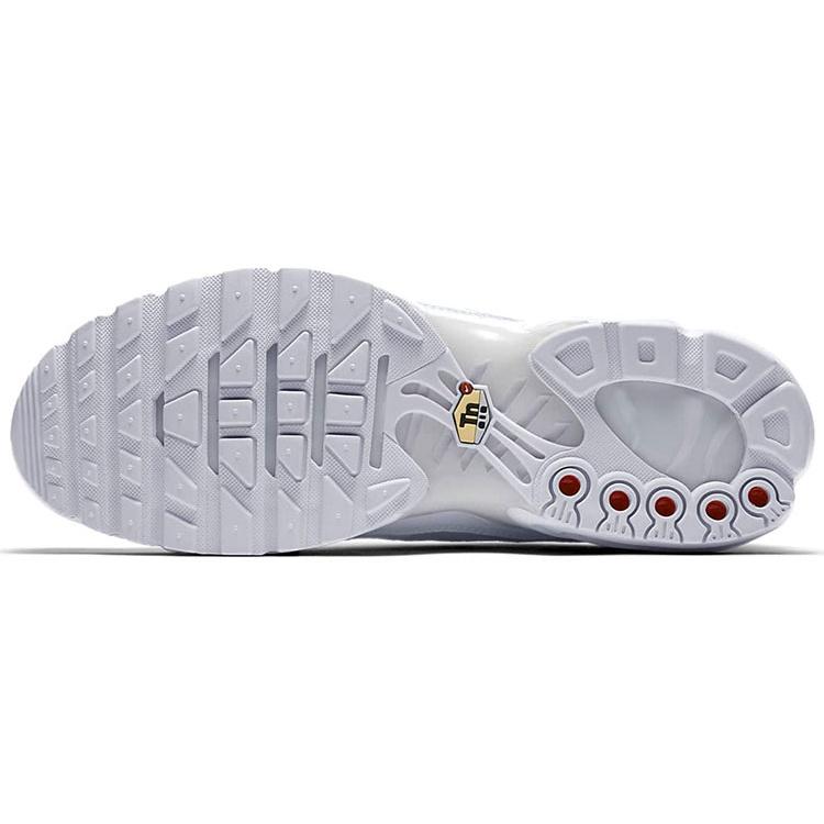 Nike Air Max Plus TN 'Triple White' Мужские AJ2029-100