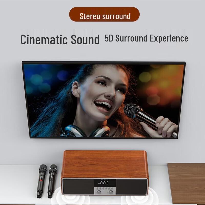 Домашняя акустическая система для караоке KTV SANSUI T73 (Китайская версия)