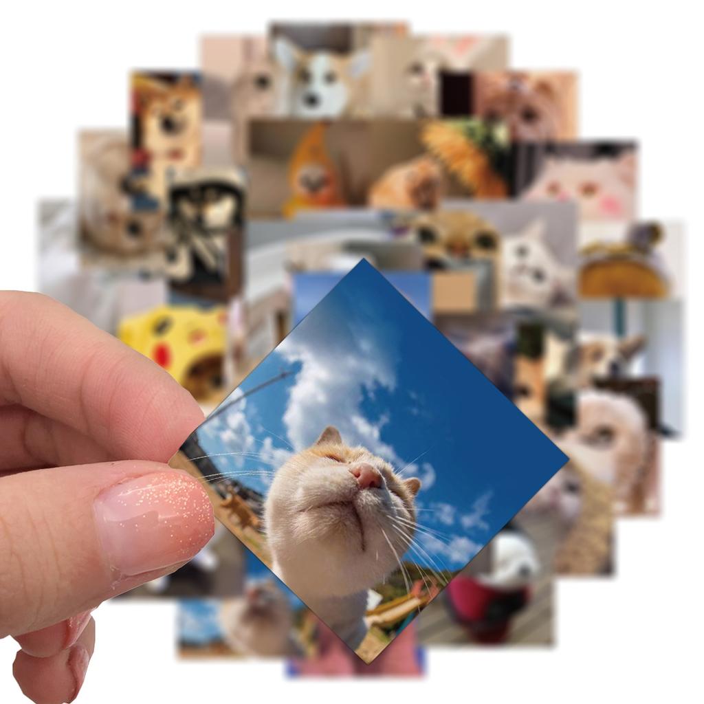 50pcs Cute Cat and Gog Stickers Waterproof Vinyl Stickers for Kids Laptop Phone Toy Stickers Computer Motorcycle Decals