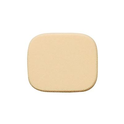Amritara Amazing Organic Foundation Creamy Moisture SPF50+ PA++++ Exclusive Puff
