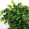 4 шт. 30-дюймовые подвесные искусственные зеленые растения, реалистичные искусственные листья эвкалипта, лиана для дома и улицы, искусственная зелень, плющ, рождественское украшение для крыльца