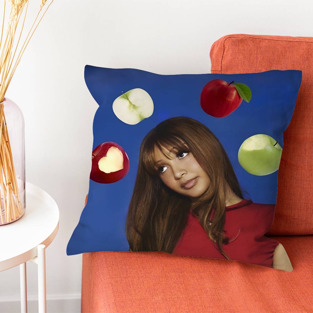 PPinkpantheress Fancy Some More Pillow Case Silky Short Plush With Invisible Zipper Dustproof Sofa Cushion Cover For Home Decor