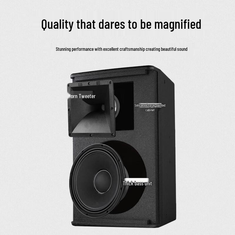 XEW-12S Professional Conference Audio Speaker (CN version)