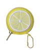 Design Coin Case Fruits P+g (PF) (Lemon) PG-38802