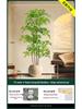 Nandina Luxury Floor-Standing Indoor/Outdoor Bonsai Tree Ornament