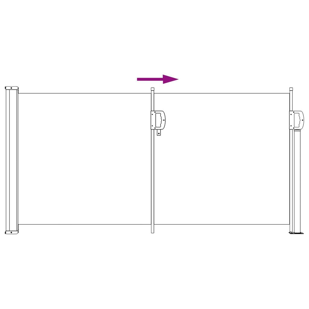 Retractable Side Awning Anthracite 300 x 100 cm Polyester