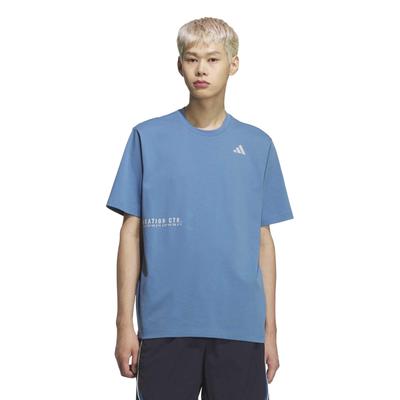 VERBIAGE SB250 Dusky Ink L [Adidas] Футболка с коротким рукавом S/S Мужская (KF3704)