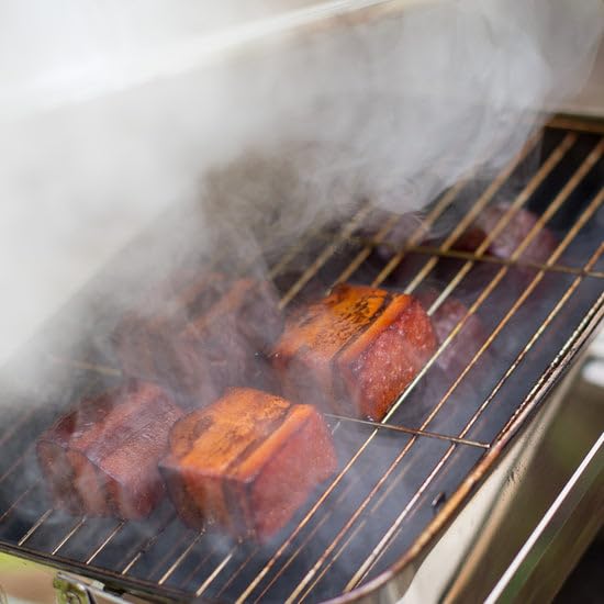 Snow Peak Compact Smoker CS-092