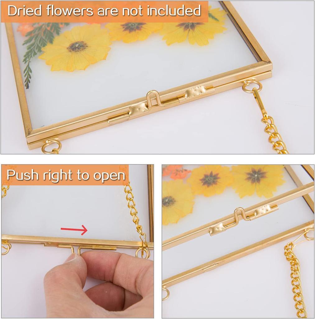 Three-Piece Brass & Glass Hanging Wall Frame Set for Plants & Photos