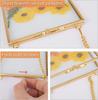 Three-Piece Brass & Glass Hanging Wall Frame Set for Plants & Photos
