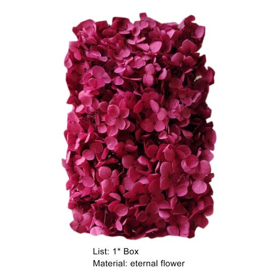 Модные сухие цветы гортензии без полива, легкие, добавляют атмосферы