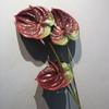 57CM Plastic Fake Single Stem Anthurium Artificial Flowers Artificial Anthurium