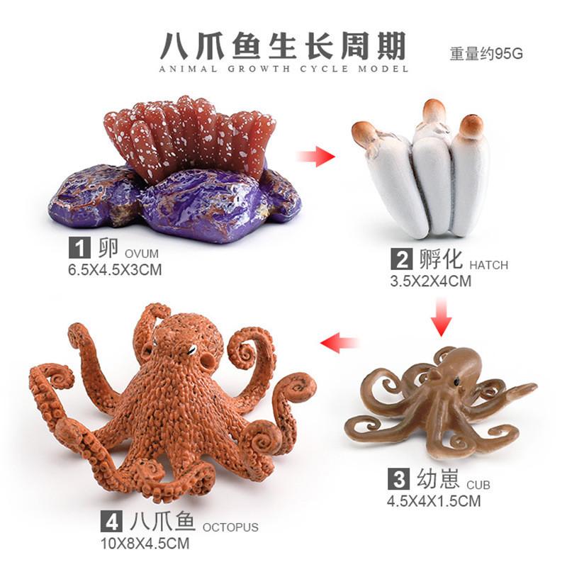 Детализированная пластиковая фигурка жизненного цикла осьминога для интерактивного обучения и игры