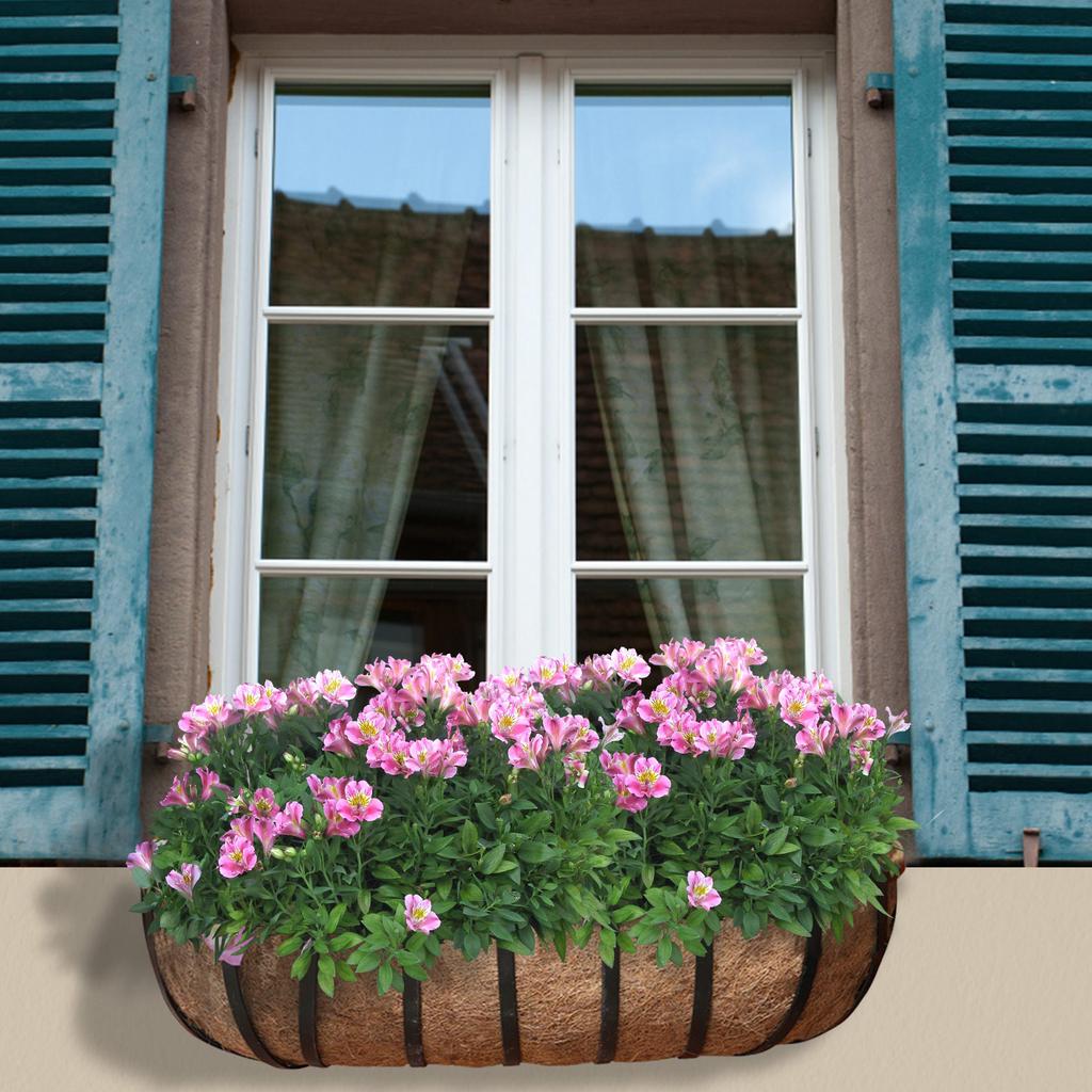 2 упаковки желобчатых подкладок из какао, натуральная кокосовая койра, вазоны для настенных корзин, вкладыши для оконных рам, корзины для садовых цветочных горшков, корзины для цветочных горшков для забора