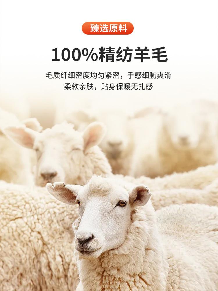 [100% Sheep Wool] Business and leisure fine spun machine washable thick autumn and winter high neck warm wool sweater