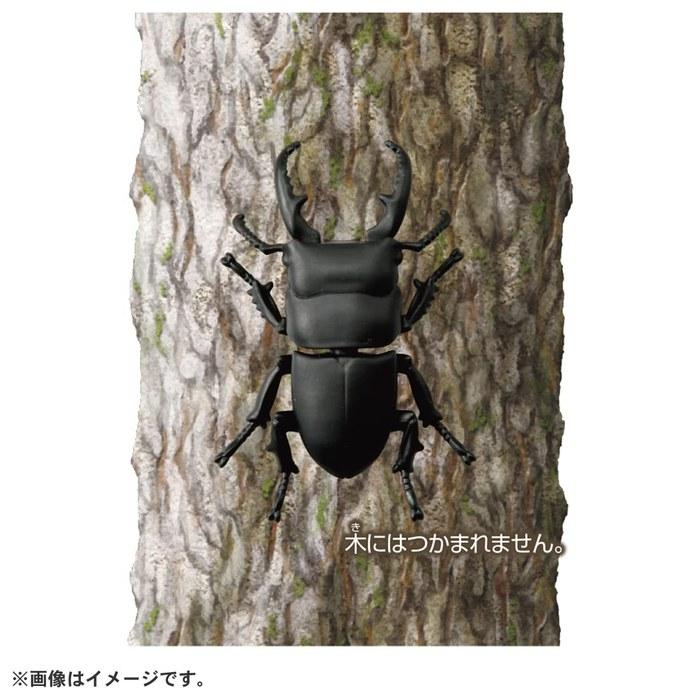 Takara Tomy Ania AS-41 Flat Stag Beetle Figure (Black, x 1)