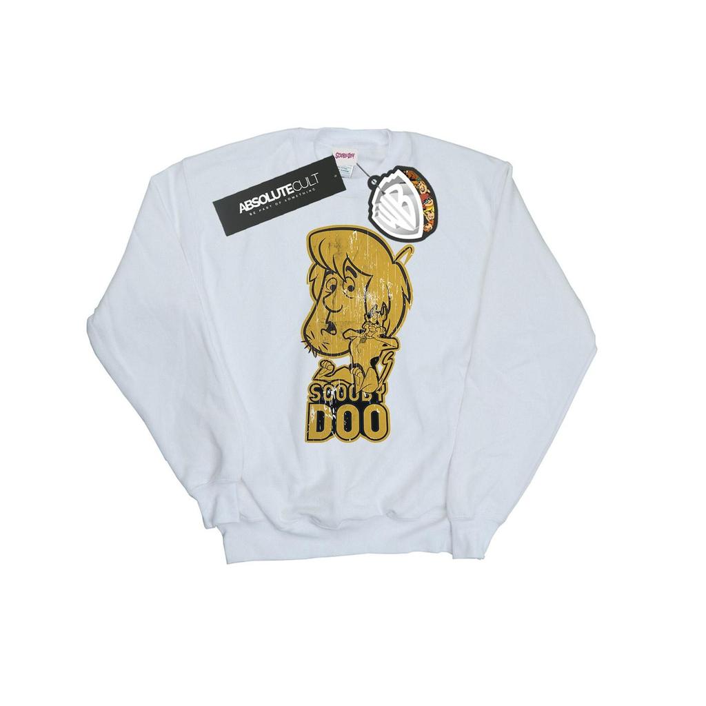 Scooby Doo Mens And Shaggy Sweatshirt