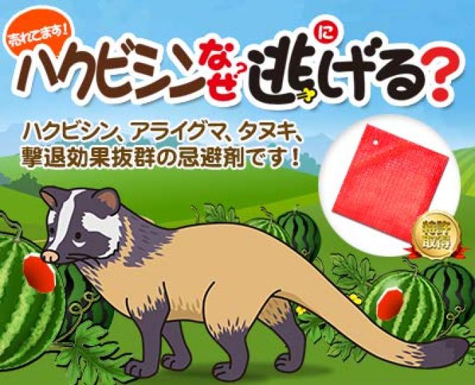 Почему мусанги бегают в помещении, демонстрируя сверхвысокий уровень отпугивания для пальмовых енотов и борьбы с вредителями? 15 предметов 95% циветты, репелленты,