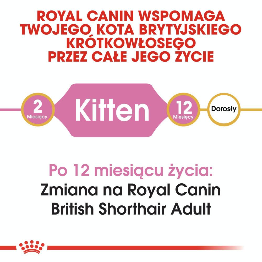 Royal Canin Brit Shorthair Dry Cat Food 2 Kg